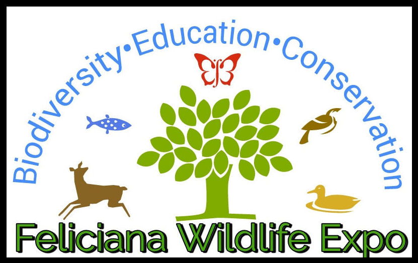 FWE Logo.jpg thumbnail